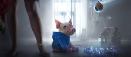 BGE2 Hybrid Pig Toy